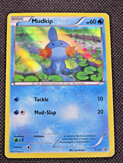 Pokemon Mudkip XY38 Holo Promo Card XY Promo TCG Basic English 2014 - MP -- L25 - Image 1
