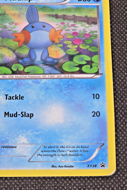 Pokemon Mudkip XY38 Holo Promo Card XY Promo TCG Basic English 2014 - MP -- L25 - Image 2