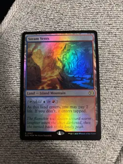 Steam Vents [Lorwyn Eclipsed] Foil NM/MT - Image 2