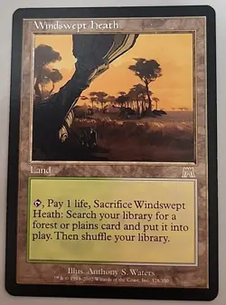 Windswept Heath MP Onslaught MTG See Photos Magic the Gathering - Image 1