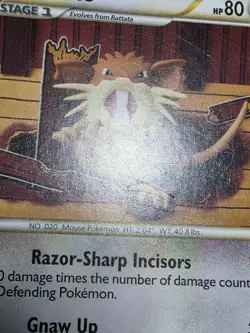 HP Pokemon Raticate 34/90 - Undaunted - Pokemon Card - Image 5