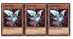 Yugioh- 3X Sacred Crane - Common - 1st Edition - BP03-EN010 - Light Play - Image 1