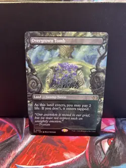 Overgrown Tomb (Borderless) Lorwyn Eclipsed Regular Near Mint - Image 1