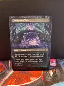 Overgrown Tomb (Borderless) Lorwyn Eclipsed Regular Near Mint - Image 2