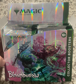 2x Bloomburrow Collector Booster Packs - BOX FRESH - MTG Magic the Gathering - Image 2