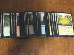 Magic The Gathering: 100 Basic Land Cards - 20 of Each Type - MTG Cards - Image 2