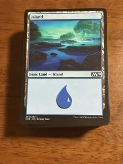 Magic The Gathering: 100 Basic Land Cards - 20 of Each Type - MTG Cards - Image 4