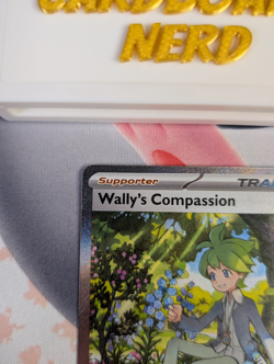 Wally's Compassion 186/132 Special Illustration SIR Pokemon Mega Evolutions NM/M - Image 2