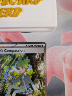 Wally's Compassion 186/132 Special Illustration SIR Pokemon Mega Evolutions NM/M - Image 3