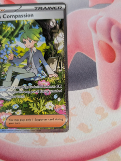 Wally's Compassion 186/132 Special Illustration SIR Pokemon Mega Evolutions NM/M - Image 4