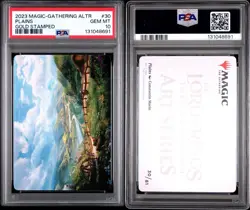 2023 MTG ALTR Plains (LOTR) Art Card Gold Stamped PSA 10 - Image 3