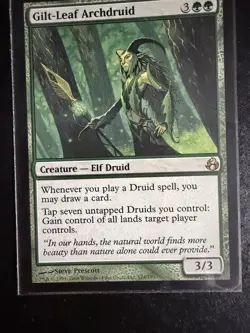 MTG - NM - Gilt-Leaf Archdruid - Morningtide - Image 1