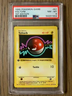 PSA 8 - Pokemon VOLTORB - 1st EDITION Shadowless Base Set - 67/102 - Common - Image 1