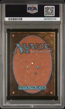 MTG PSA 9 Fallout Wastes Foil Promo#795 Secret Lair Vault Boy S.P.E.C.I.A.L. PIP - Image 3