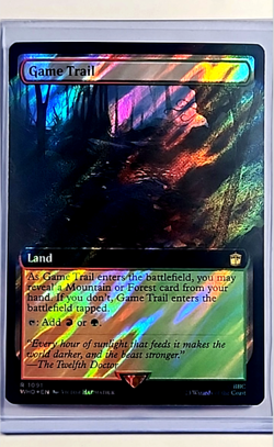 2023 MTG Magic the Gathering WHO Dr Who Extended Art Surge Foil #1091 Game Trail - Image 1