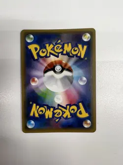 Pokemon Poncho Pikachu Rayquaza 230 231 Set 2016 XY - Image 5