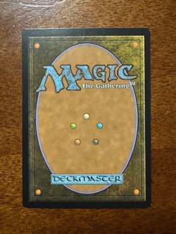 Verdant Catacombs "Modern Masters 2017" Regular (NM) - Image 2