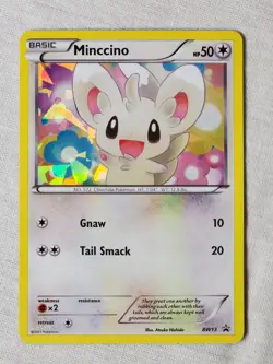 Played Minccino - Cracked Ice Holo #BW13 Black and White Promo Pokemon TCG - Image 1