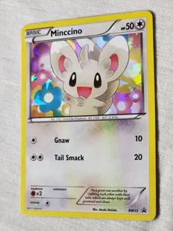 Played Minccino - Cracked Ice Holo #BW13 Black and White Promo Pokemon TCG - Image 3