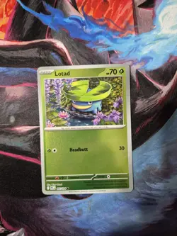 Pokemon TCG Mega Evolution Phantasmal Flames Lotad 005/094 Reverse Holo NM - Image 1