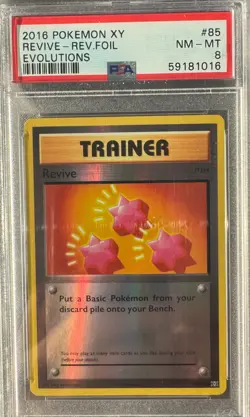 REVIVE Reverse Holo 85/108 PSA 8 - XY Evolutions Pokemon 2016 NM-MT - Image 1