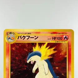 Typhlosion Meganium Feraligatr No.157 Premium File 1999 LP Japanese Pokemon Card - Image 5