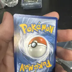 Pokemon TCG Card Eevee GX SM233 Black Star Promo 2019 LP - Image 5