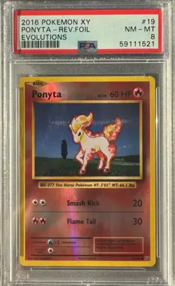 Ponyta 19/108 Reverse Holo PSA 8 - Pokemon XY Evolutions 2016 NM-MT - Image 1