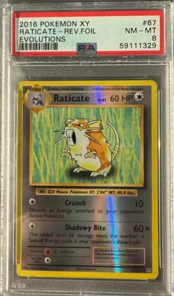 Raticate 67/108 Reverse Holo PSA 8 - XY Evolutions Pokemon 2016 NM-MT - Image 1