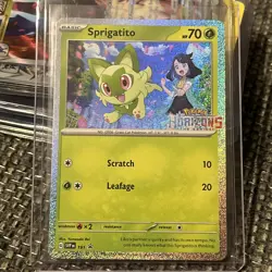 Sprigatito - 191 - Black Star Promo - SV08: Surging Sparks - Pokemon TCG - Image 1