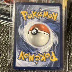 Sprigatito - 191 - Black Star Promo - SV08: Surging Sparks - Pokemon TCG - Image 2