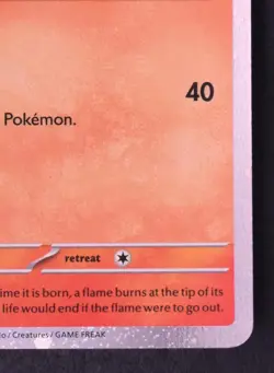 Charmander 047 - Pokemon SVP Black Star Promos None Card - Image 3