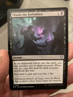 Plumb the Forbidden #188 (NM) Bloomburrow BLC Magic MTG - Image 1