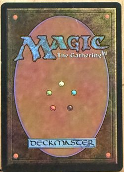 LIMITED EDITION Legends Vintage MtG Gosta Dirk Unplayed NM - Image 2