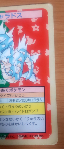 Pokemon Card Japanese Top sun Gyarados 1995 vintage from Japan - Image 2