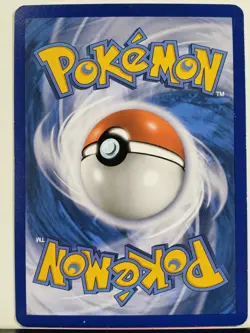 Furfrou 90/119 LP - XY Phantom Forces Pokemon Card - Naoki Saito Art - Image 2