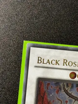 Black Rose Dragon (UTR) CSOC-EN039 Crossroads of Chaos 1st Edition - Image 2