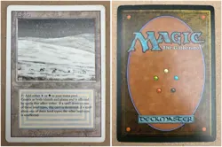 Tundra Dualland Magic the Gathering MtG English Revised LP-GD - Image 1