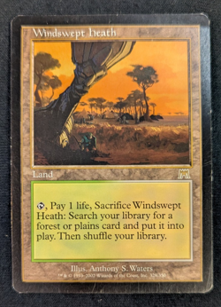 Magic The Gathering MTG Windswept Heath Onslaught - Image 1