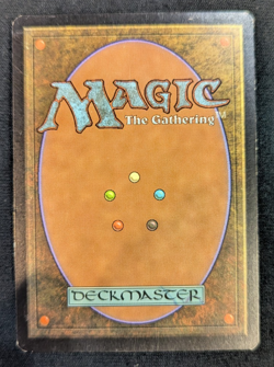 Magic The Gathering MTG Windswept Heath Onslaught - Image 2