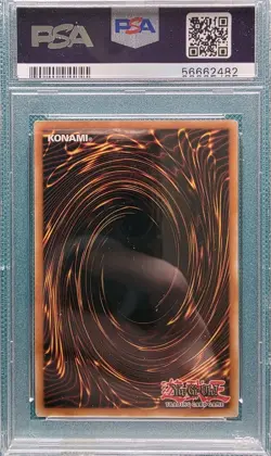 YUGIOH Secret Rare Elemental Hero Neos Knight BLHR-EN064 1st Edition PSA 9 - Image 3