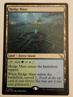 Hedge Maze MKM #262 Rare Land Regular NM+ - Image 1