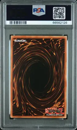 2008 YU-GI-OH! ANNIVERSARY PACK YAP1-EN001 BLUE-EYES WHITE DRAGON PSA 10 - Image 2
