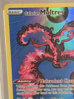 Galarian Moltres SWSH284 SWSH: Sword & Shield Promo Cards Holo - PSA 9 MINT - Image 3
