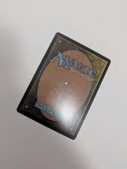 MTG - Rain-Slicked Copse (Extended Art) - Lorwyn Eclipsed NM/M Condition - Image 3