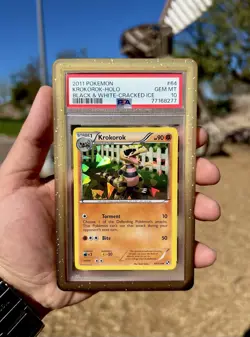 Pokemon Krokorok Black & White Cracked Ice Holo 64/114 PSA 10 pop 2!!! - Image 1