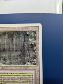 Bayou Revised MtG Magic LP - Image 4