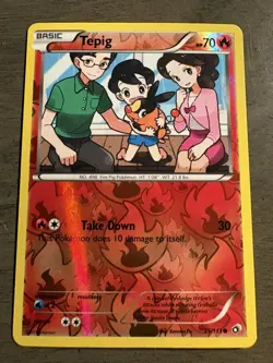 Pokemon Tepig 25/113 Legendary Treasures Reverse Holo Common LP - Image 1