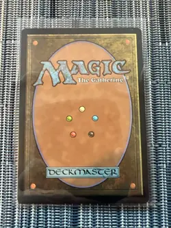 Innkeeper's Talent - NM - Bloomburrow - MTG - Image 2