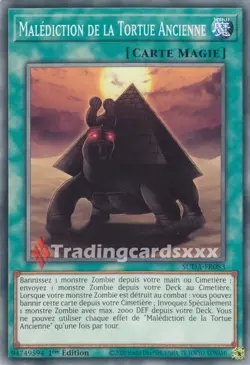 Yu-Gi-Oh! Malediction de la Tortue Ancienne : C SUDA-FR083 - Image 1